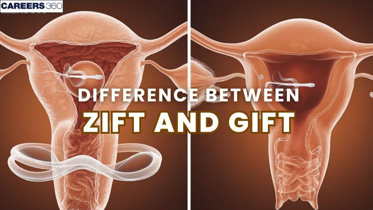 Difference Between ZIFT And GIFT